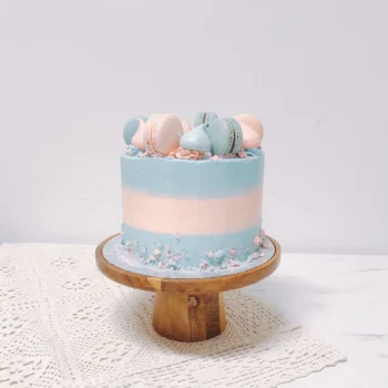Pastel Blue x Pink Macarons Meringue Gender Reveal Cake | Customised Cake