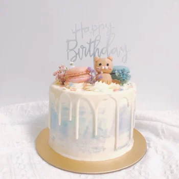 Pastel Drips x Cat Cake | Kid's Cakes