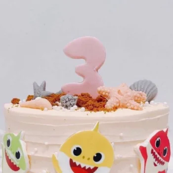 Fondant Number Age (Large) | Best Customisation Cake Shop