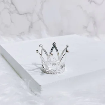 Miniature Silver Crown | 21st Birthday Cake