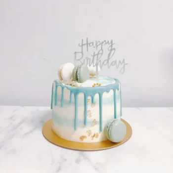 Classic Pastel Blue Macarons Drips Cake | Customised Cake