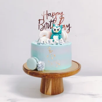 Turquoise Blue Owl Cake | Best Customisation Cake Shop