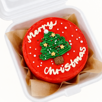 Christmas Bento Cake