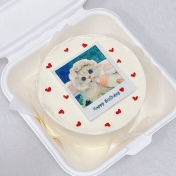 Polaroid Film Photo Bento Cake