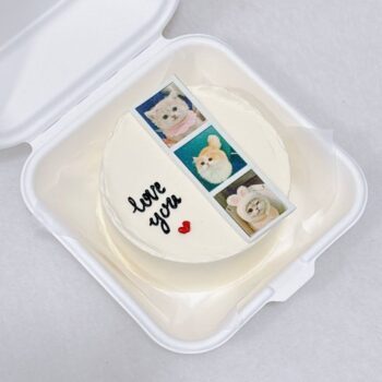 3 Polaroid Films Photo Bento Cake
