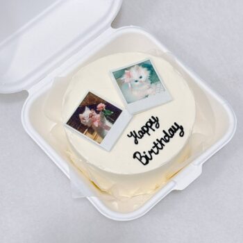 Double Polaroid Photo Bento Cake