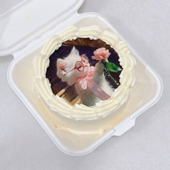 Classic Photo Bento Cake